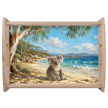 Australië Strand Koala Bloeiende Eucalyptusboom Ku