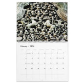 Australië Thailand Cambodja Reiskalender Kalender (Feb 2026)