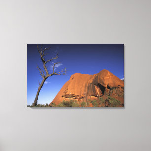 Australië, Uluru Kata Tjuta National Park, Uluru Canvas Afdruk