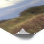 Australië, Western Australië. Emu (Dromaius) Poster (Hoek)