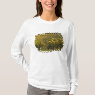 Australië, Zuid-Australië, Barossa-vallei, T-shirt