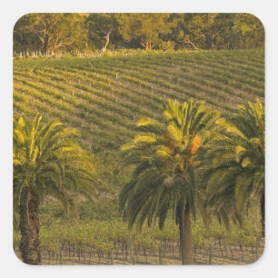 Australië, Zuid-Australië, Barossa-vallei, Vierkante Sticker