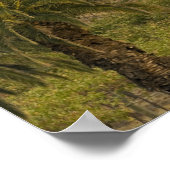 Australië, Zuid-Australië, Barossa Valley, Poster (Hoek)