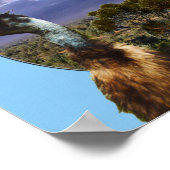 Australien Kookaburra Et Emu, Poster (Coin)