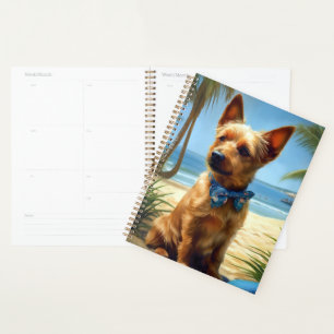 Australien Terrier On Beach amoureux des chiens ca