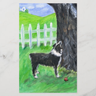 Australiër Shepherd ziet eekhoorn
