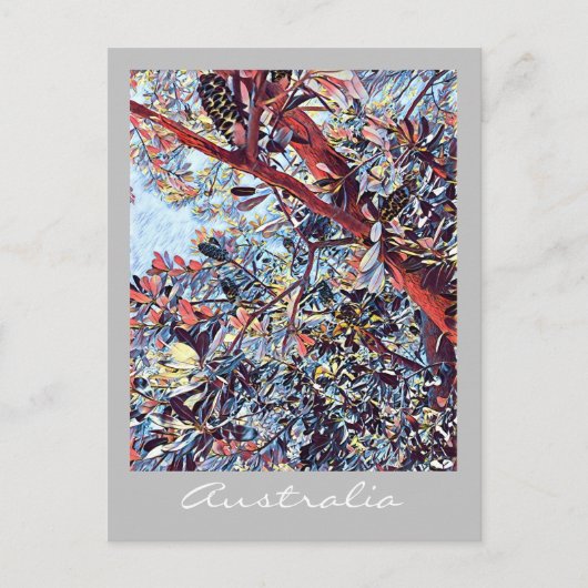 Australisch Banksia: inheems plant Briefkaart (Voorkant)