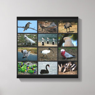 Australisch Birdwatchers Collage Canvas Afdruk