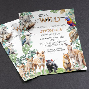 Australisch dier wild een verjaardag kangoeroe