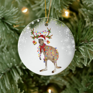 Australisch Kangaroo Santa animal marsupsous wildl Keramisch Ornament