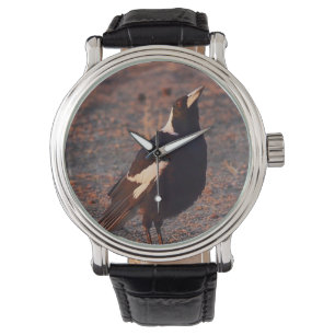 Australisch Magpie-horloge Horloge