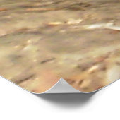 Australisch-oostwaterdraak Poster (Hoek)