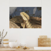 Australisch-oostwaterdraak Poster (Keuken)