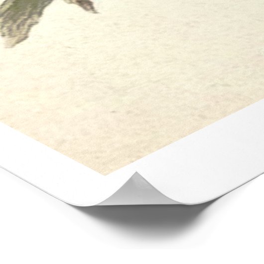  Australisch Poster Galah (Hoek)