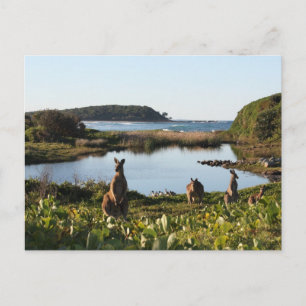 Australisch Scene-Briefkaart Briefkaart