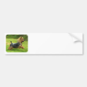 Australisch Silky Terrier-ontwerp Bumpersticker