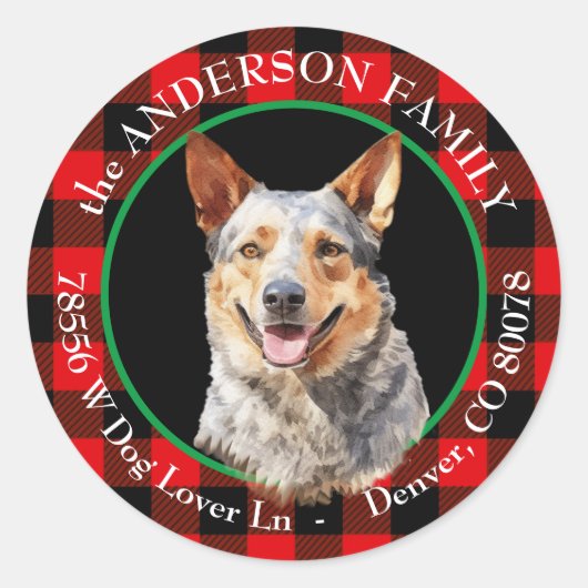Australisch vee hond Buffel Plaid retouradres Ronde Sticker (Voorkant)