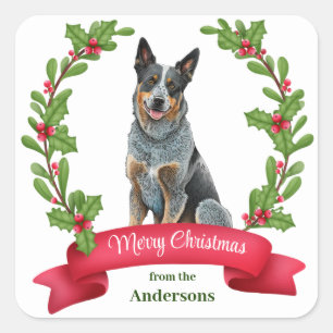 Australisch vee Hond Holly Banner Kerstmis Vierkante Sticker