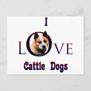 Australisch vee hond ik hou briefkaart