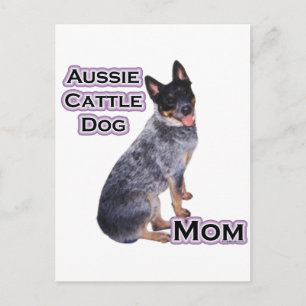 Australisch vee hond mam 4 briefkaart
