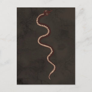 Australische aboriginal woestijnslangenkunst briefkaart