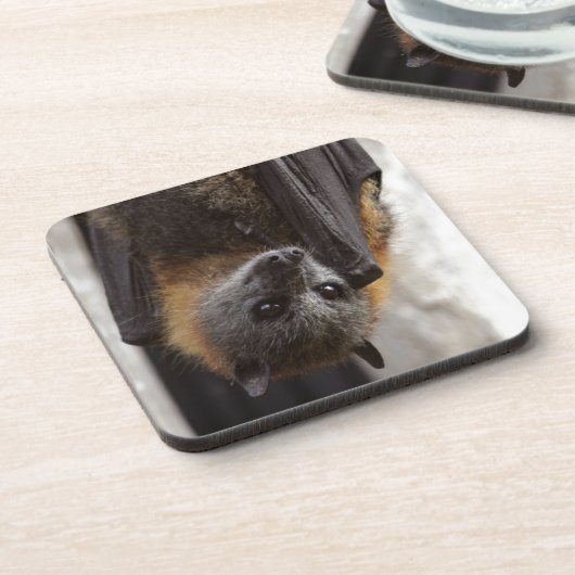 Australische bat bier onderzetter (Linkerzijde)