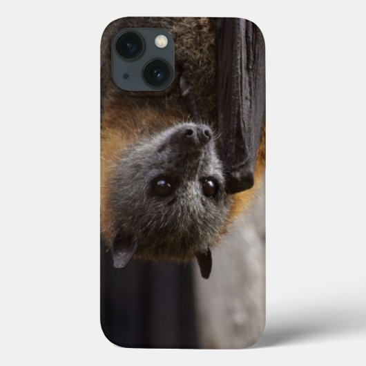 Australische bat Case-Mate iPhone case (Achterkant)