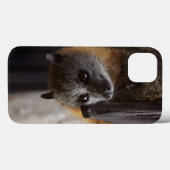 Australische bat Case-Mate iPhone case (Achterkant (horizontaal))