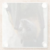 Australische bat glazen onderzetter (Achterkant)