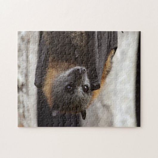 Australische bat legpuzzel (Horizontaal)