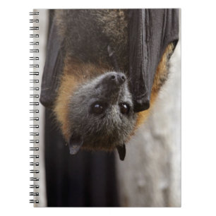 Australische bat notitieboek