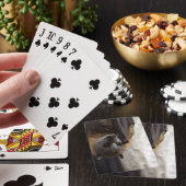 Australische bat speelkaarten (Insitu)