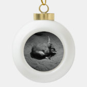 Australische Bilby, kerstboomversiering Keramische Bal Ornament (Voorkant)