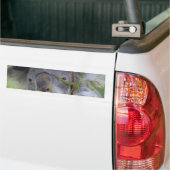 Australische Bumpersticker Koala (Op Truck)
