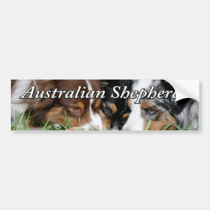 Australische Bumpersticker Shepherd