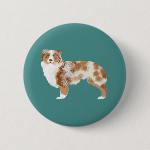 Australische Button Shepherd Red Merle