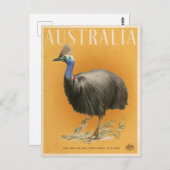  Australische Cassowary-reisposter Briefkaart (Voorkant / Achterkant)