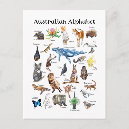 Australische dieren briefkaart (Voorkant)