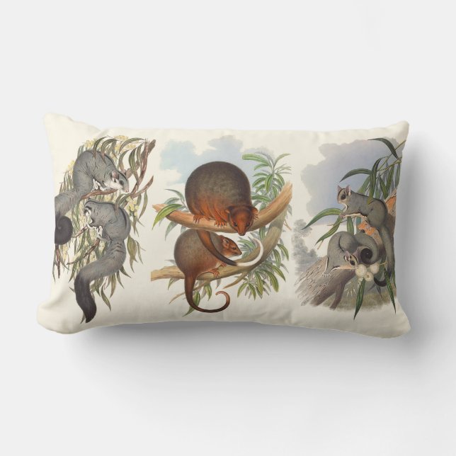 Australische dieren: drie postsonderen kussen (Voorkant)