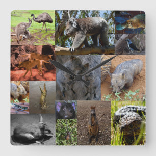 Australische dieren Fotocollage, wandklok Vierkante Klok