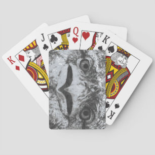Australische dieren in het wild, Natuurlijke knorr Pokerkaarten