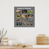 Australische dieren poster (Keuken)