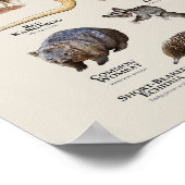 Australische dieren poster (Hoek)