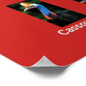 Australische dieren poster (Hoek)