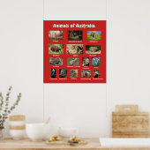 Australische dieren poster (Keuken)