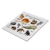 Australische dieren tegeltje (Zijkant)