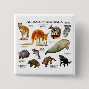 Australische dieren vierkante button 5,1 cm