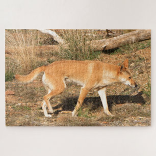 Australische dingo legpuzzel