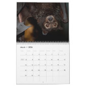 Australische Flying Fox Bat Calendar - 3 maten Kalender (Mar 2026)