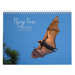 Australische Flying Fox Bat Calendar - 3 maten Kalender